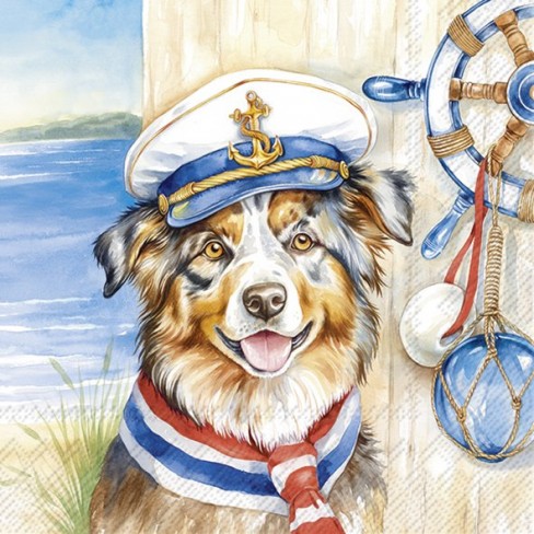 Салфетки 20бр Captain Jack